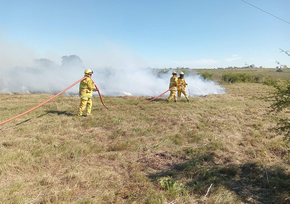 Quema controlada de restos de poda y jardinería
