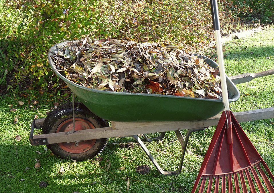 Información de restos de poda y jardín