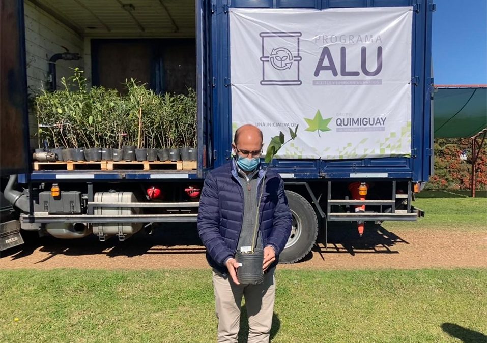La empresa Quimiguay explicó cómo es el cambio de aceites lubricantes usados por árboles nativos