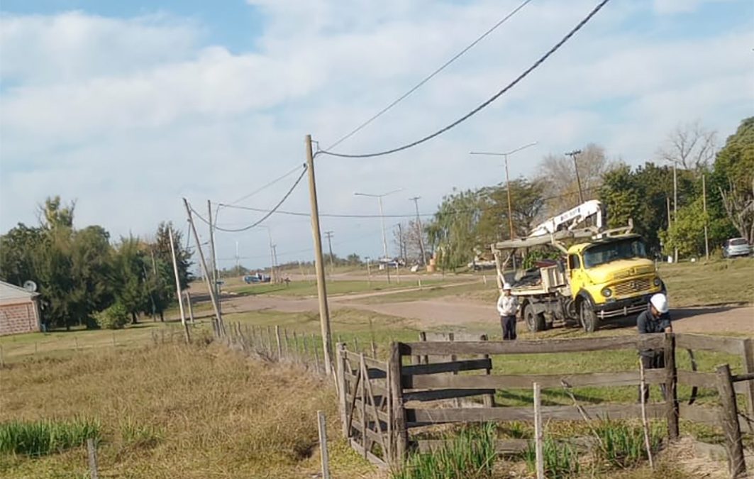 Avanza el retiro de postes y cableado en desuso para mejorar la seguridad y el entorno urbano